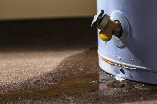 Local water damage restoration in Bret Harte, CA