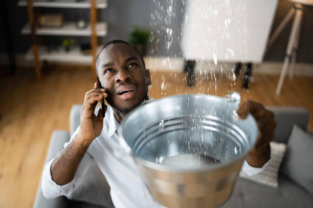 Water damage restoration mold remediation in Bret Harte, CA