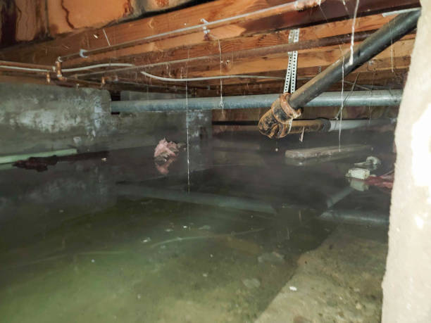 Best 24-hour water damage restoration  in Bret Harte, CA