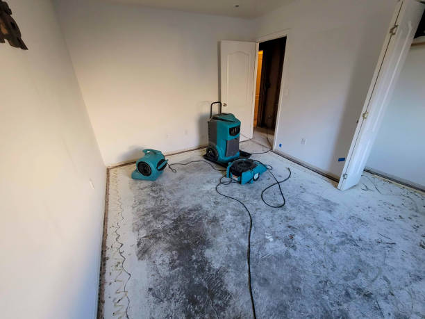  Bret Harte, CA Water damage restoration Pros
