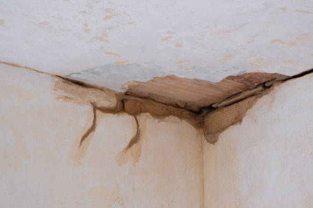 Best Residential water damage restoration  in Bret Harte, CA