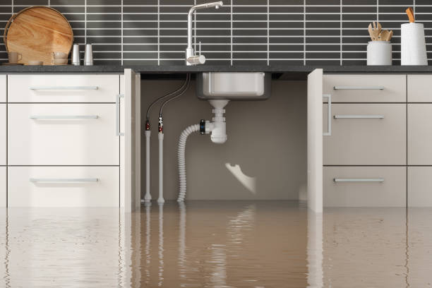 Best Water damage contractors near me  in Bret Harte, CA